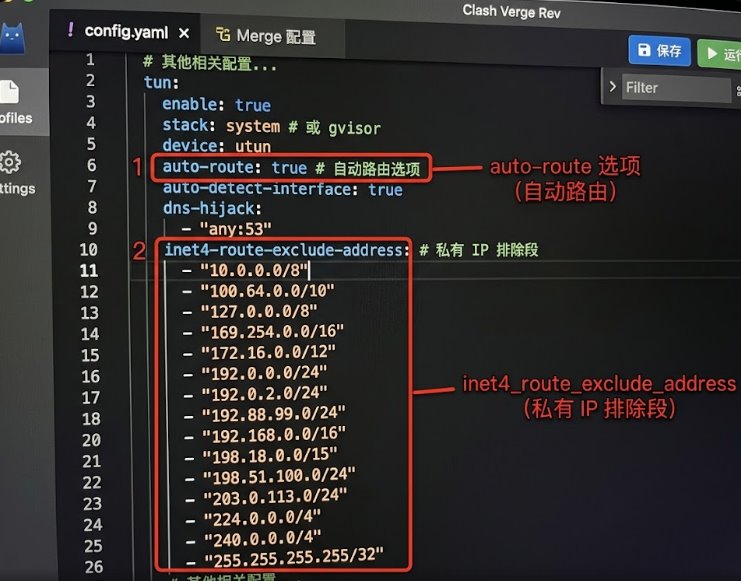 Clash Verge Rev 配置文件 TUN 模式排除局域网私有网段代码
